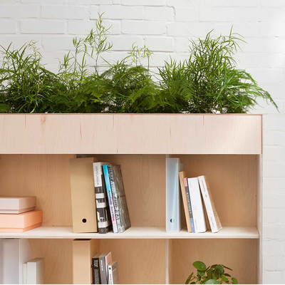 فین بوک‌شِلف پِلَنتِر | Fin Bookshelf Planter